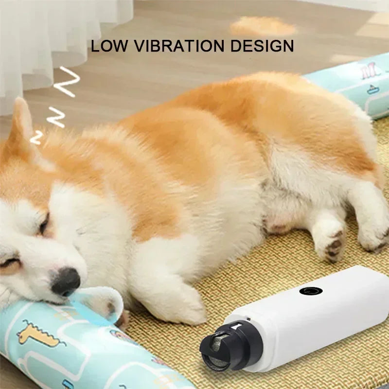 Electric Dog Nail Clippers for Dog Nail Grinders Rechargeable USB Charging LED Light Pet Quiet Cat Paws Nail Grooming Supplies by S And B Enterprise