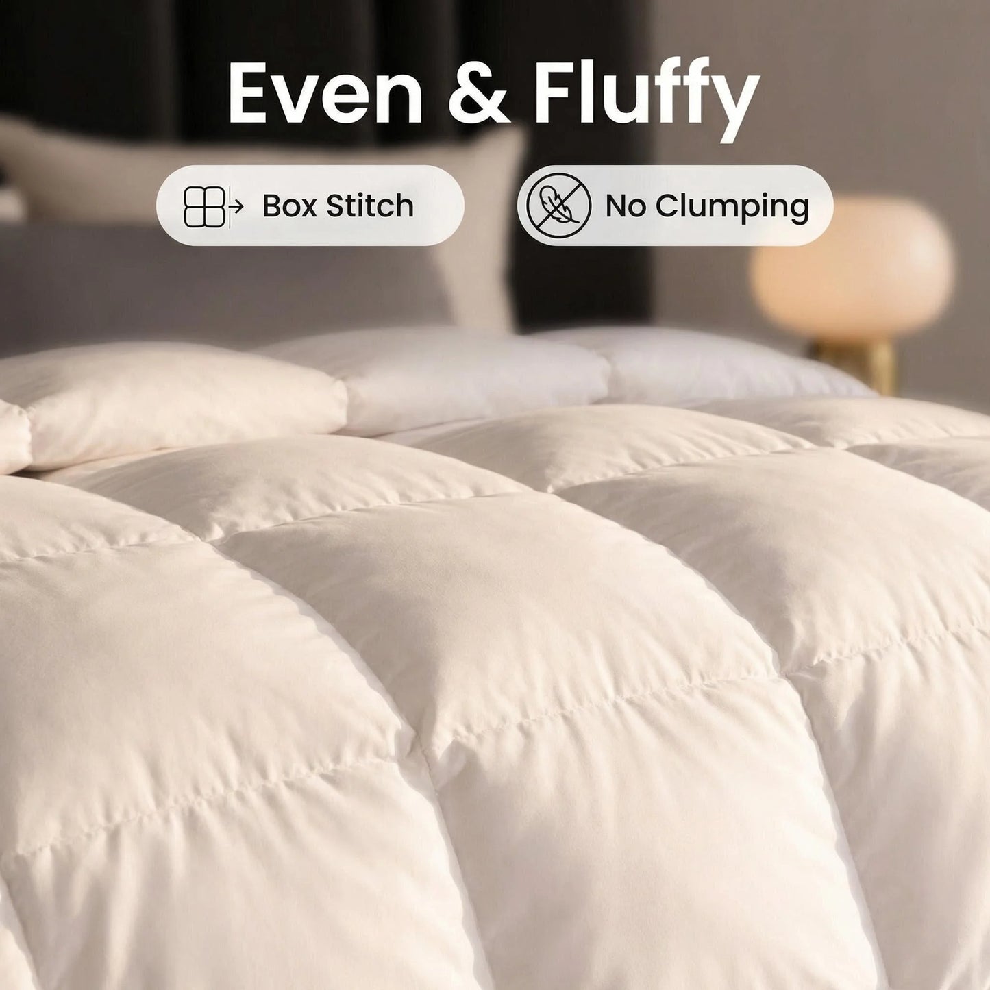 Box Stitched 3 Piece Comforter Set With Pillow Shams