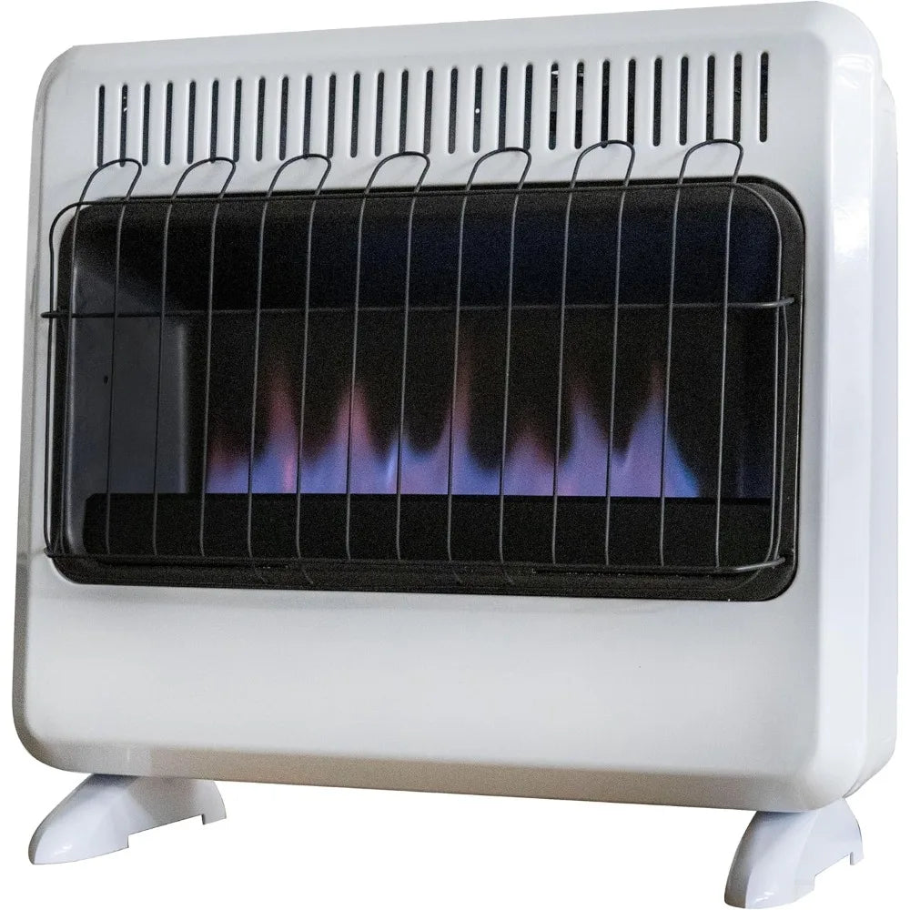 Vent-free blue-flame dual-fuel space heater, 30,000 BTU, propane or natural gas, by S And B Enterprise
