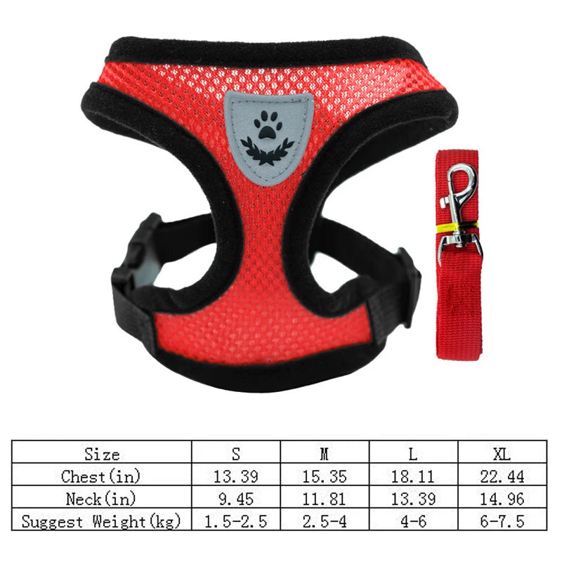 Hot summer small dog pet chest and back breathable dog chest and back suit cat outdoor traction rope child collar by S And B Enterprise