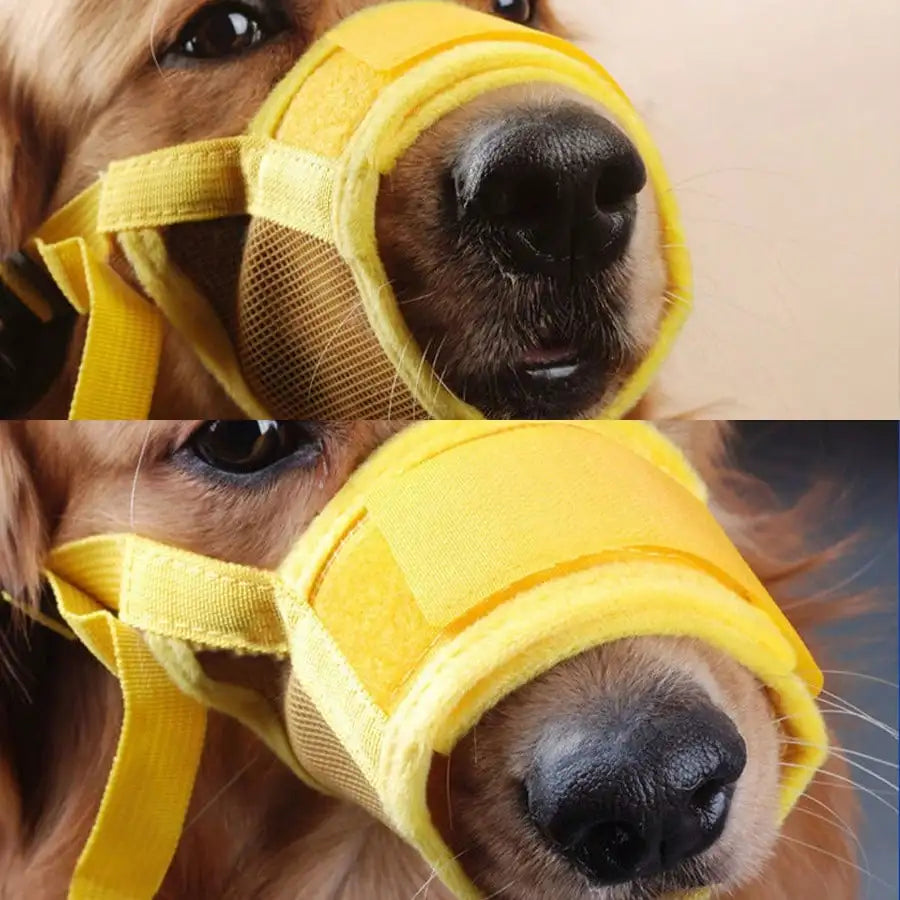 Adjustable Anti Bite Dog Muzzle For Training Breathable Mesh Design by S And B Enterprise