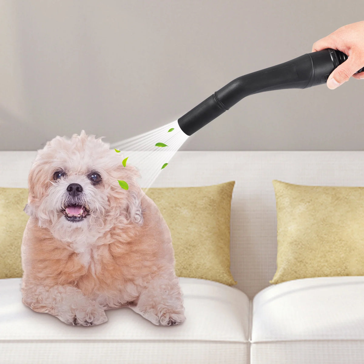 Handheld black vacuum nozzle cleaning a small fluffy dog on a sofa