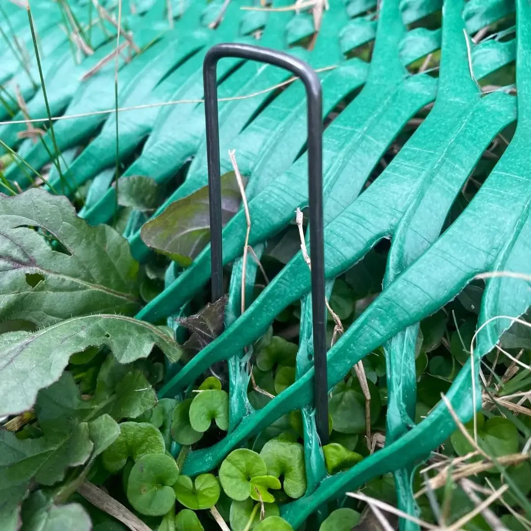 Reinforced Grass Protection Mesh Roll With Staples by S And B Enterprise