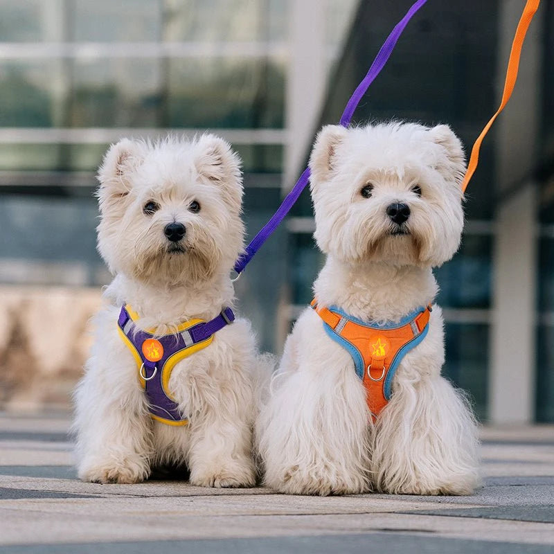 Small Medium Dogs Harness Vest Walking Traction Rope Reflective Straps, Soft Mesh Harness Breathable Pet Supplies by S And B Enterprise