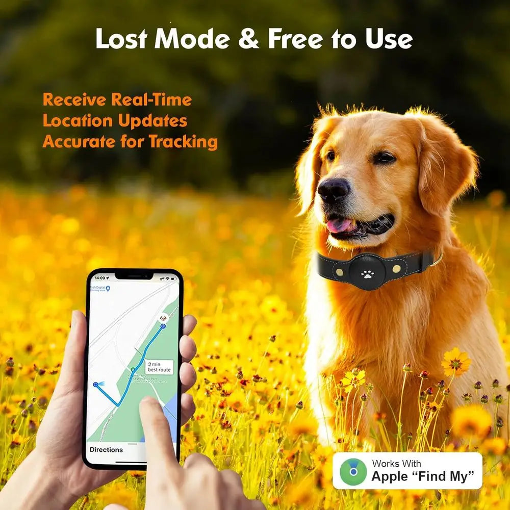 GPS Dog Tracker Collar With Real-Time Location And Free App