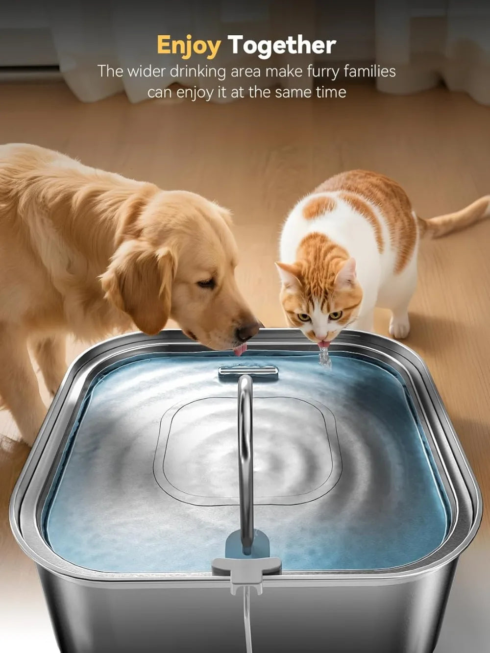 Stainless Steel Dog Water Fountain With Visible Window by S And B Enterprise