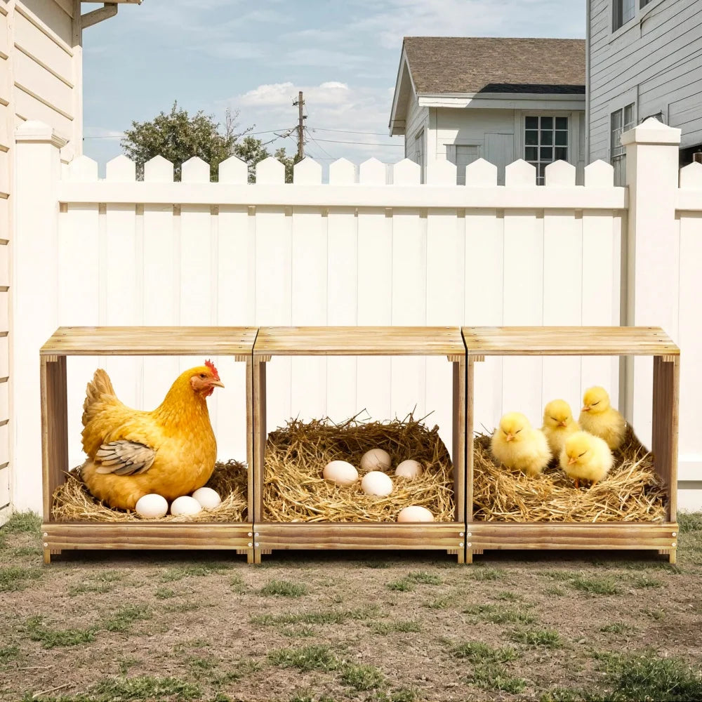 Pine wooden chicken nesting boxes, 3-compartment with hen, eggs and chicks