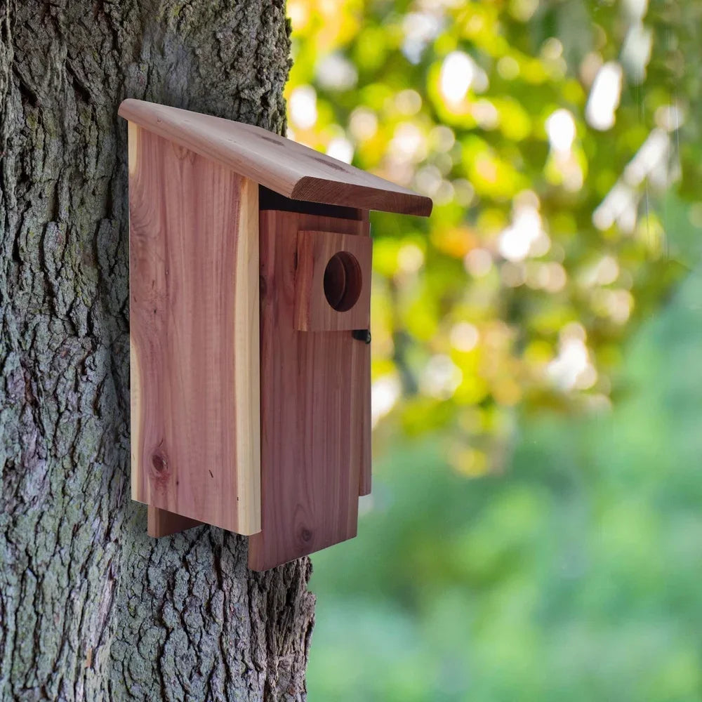 Red Cedar Bluebird House Nesting Box With Ventilated Mounting Pole