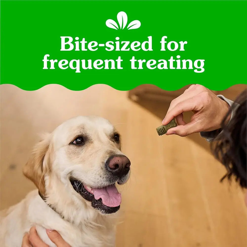 Original Flavor Dog Training Treats For Training And Rewards