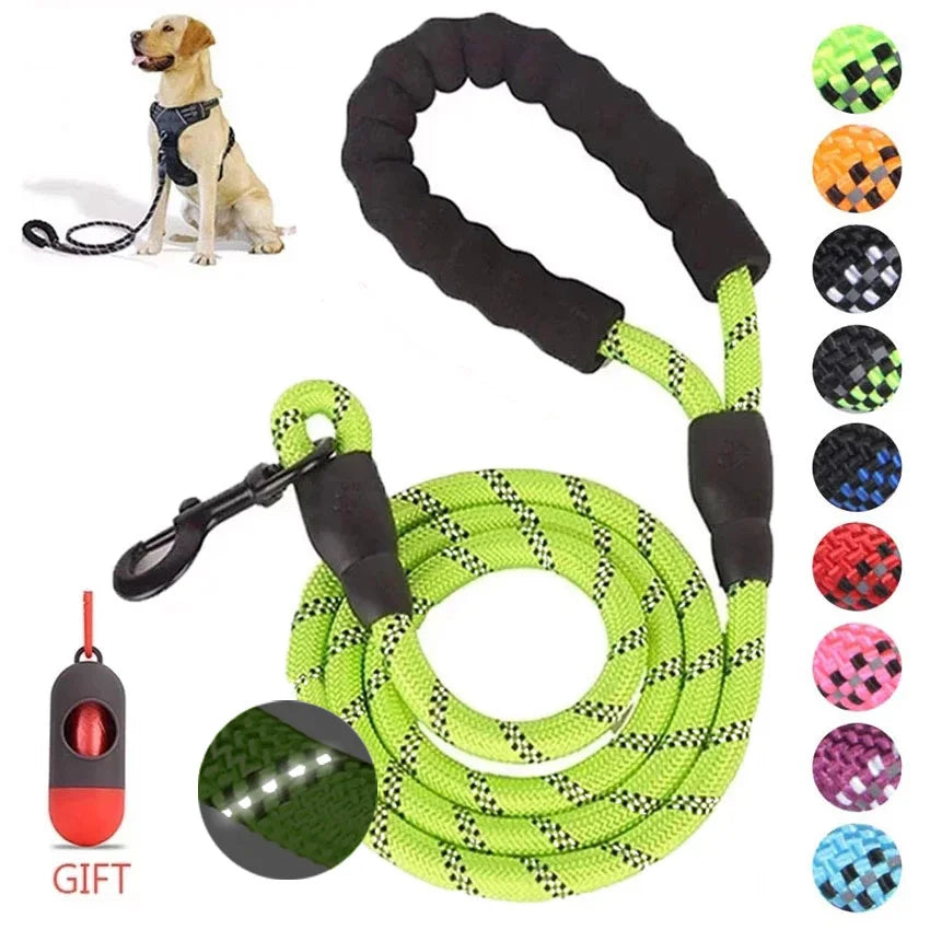 Pet Leash Reflective Strong Dog Leash 1.5M Long with Comfortable Padded Handle Heavy Duty Training Durable Nylon Rope Leashes by S And B Enterprise
