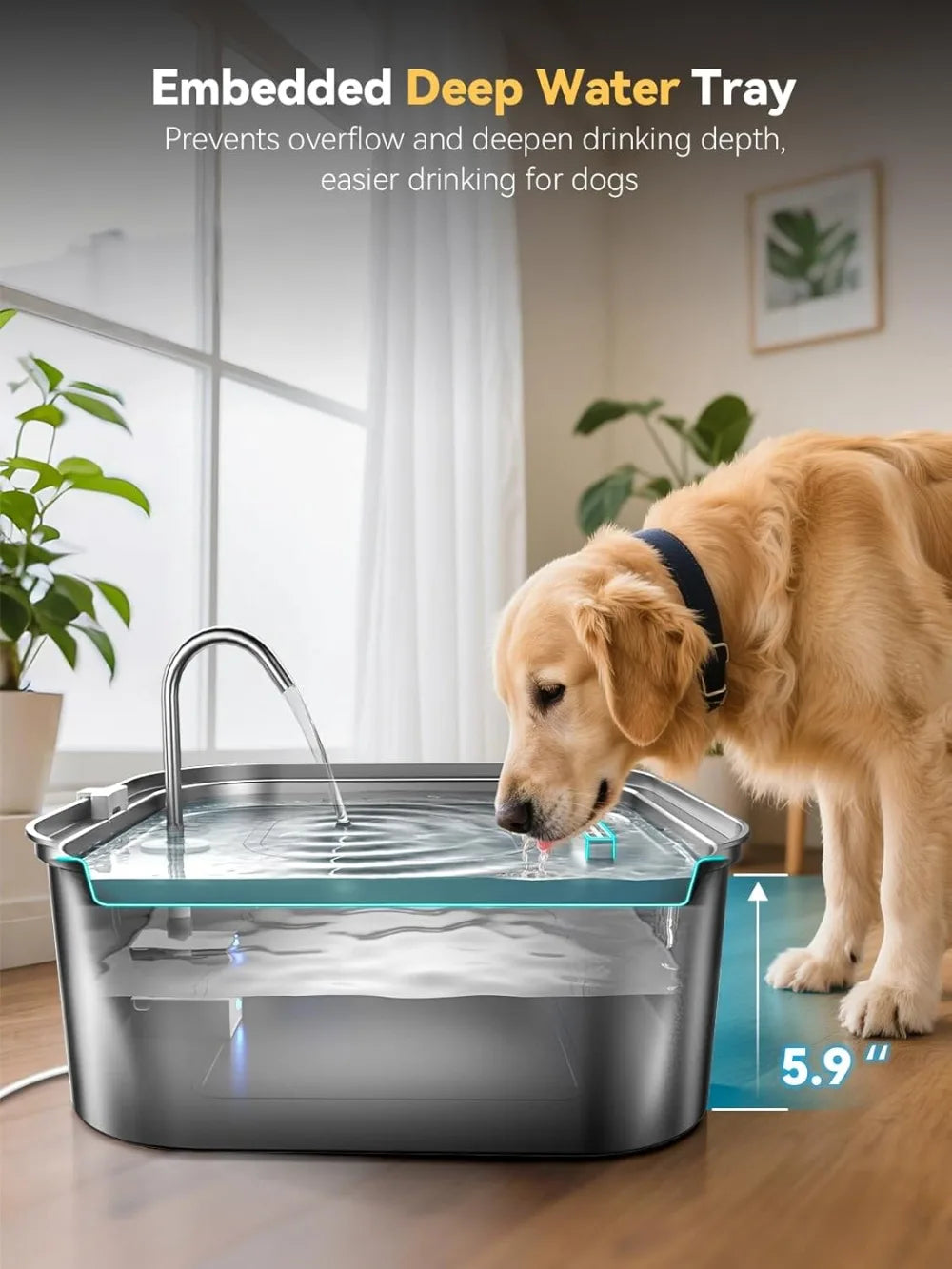 Stainless Steel Dog Water Fountain With Visible Window by S And B Enterprise