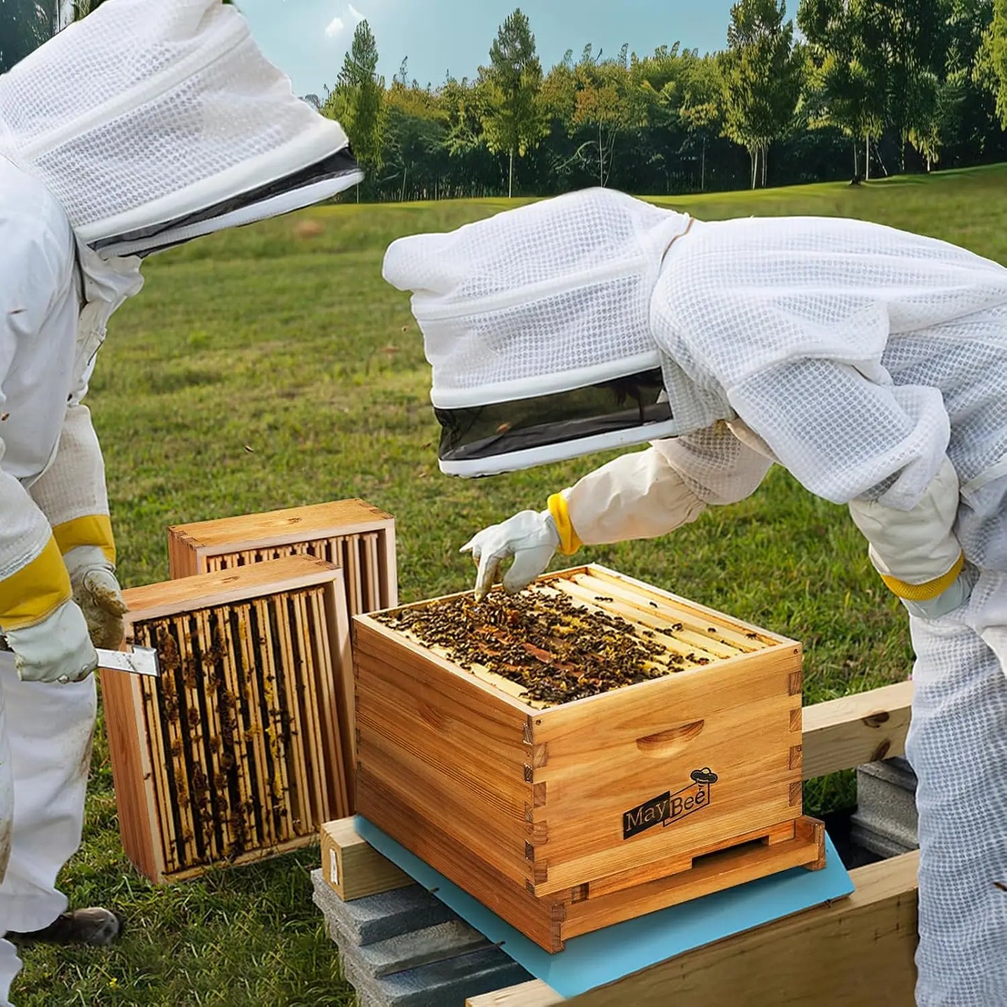 Langstroth Beehive Starter Kit With Beeswax Coated Boxes For Beginners