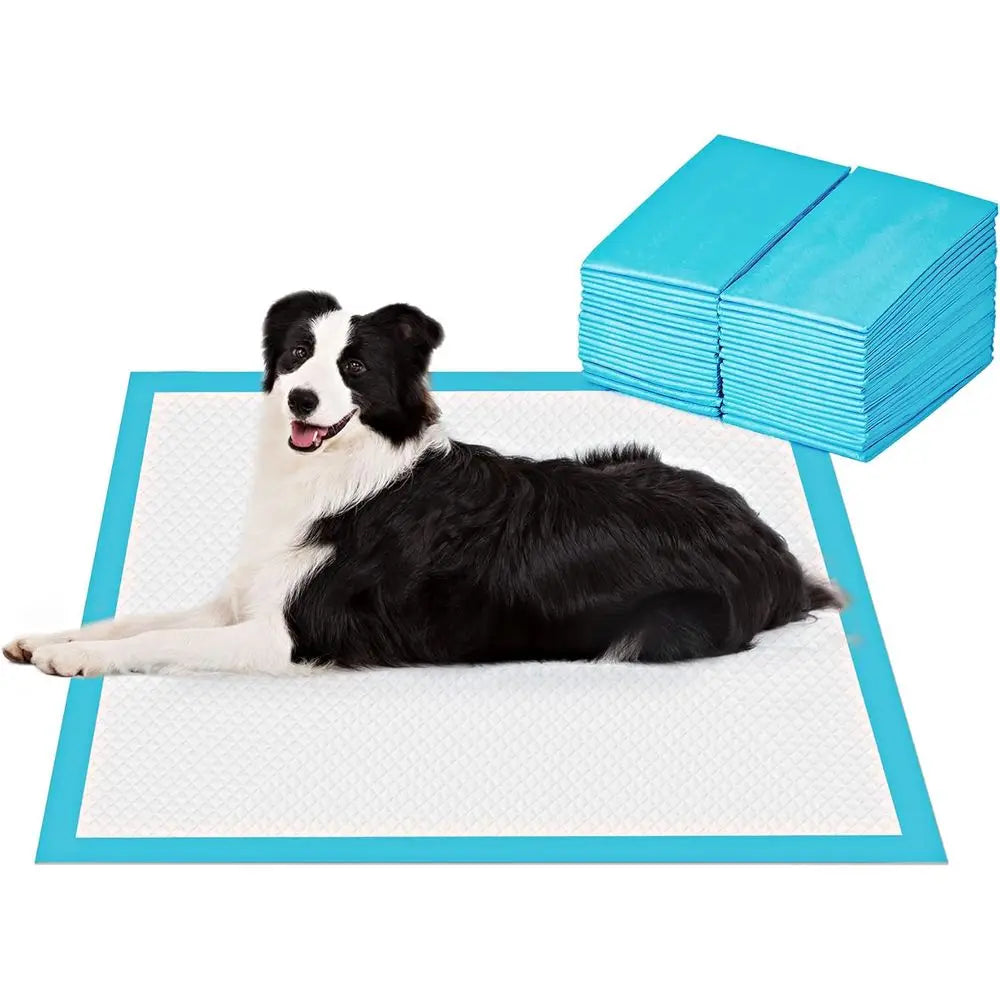 Extra Large Pet Training Pads 40 Count Absorbent Leak Proof by S And B Enterprise