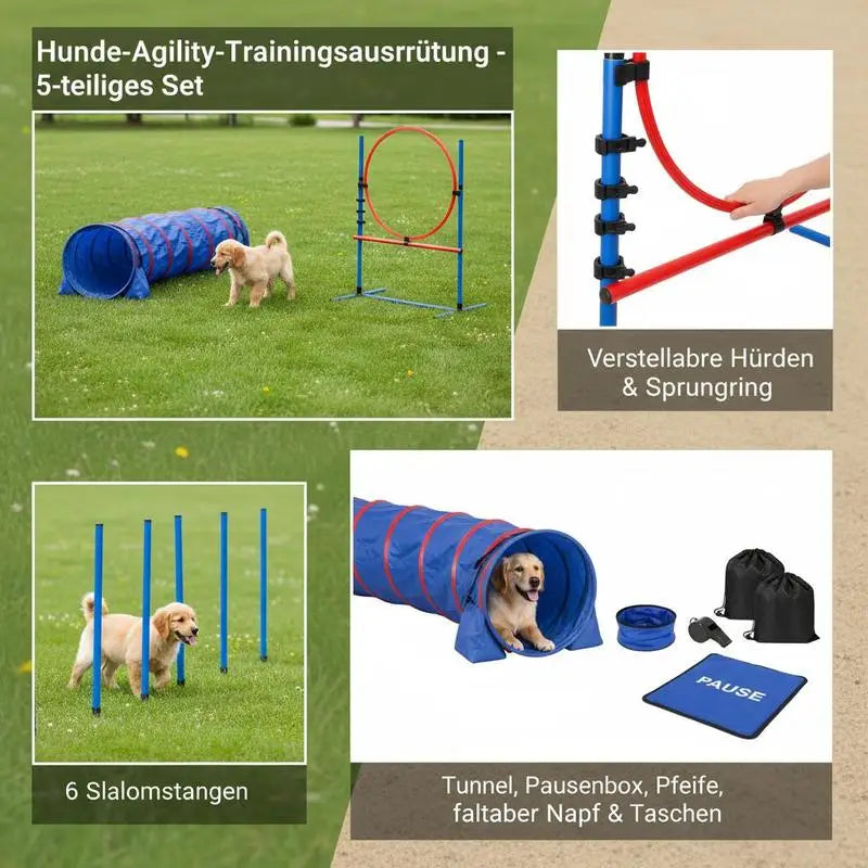 Dog agility set by S And B Enterprise: 5-piece adjustable hurdles, 6 blue slalom poles, tunnel, and accessories.