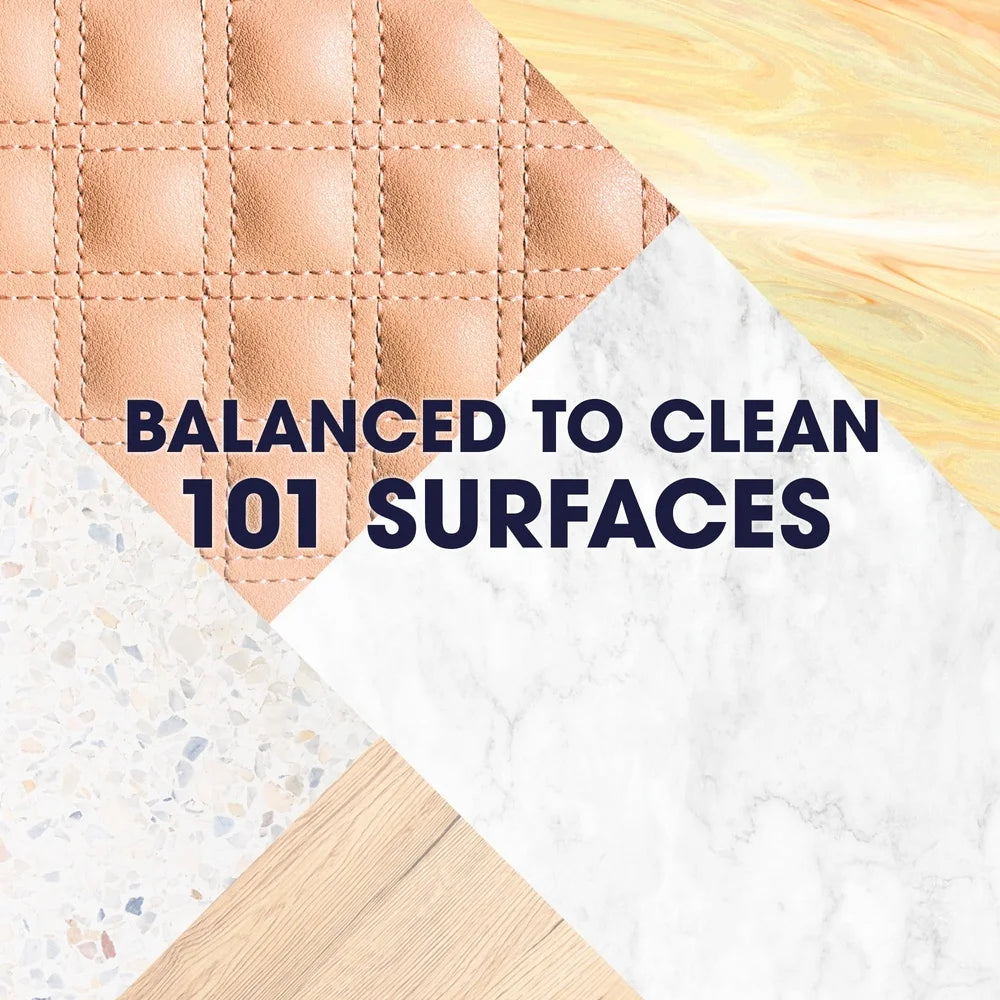 Everyday Clean Multisurface Cleaner Aerosol Rainshower Scent
