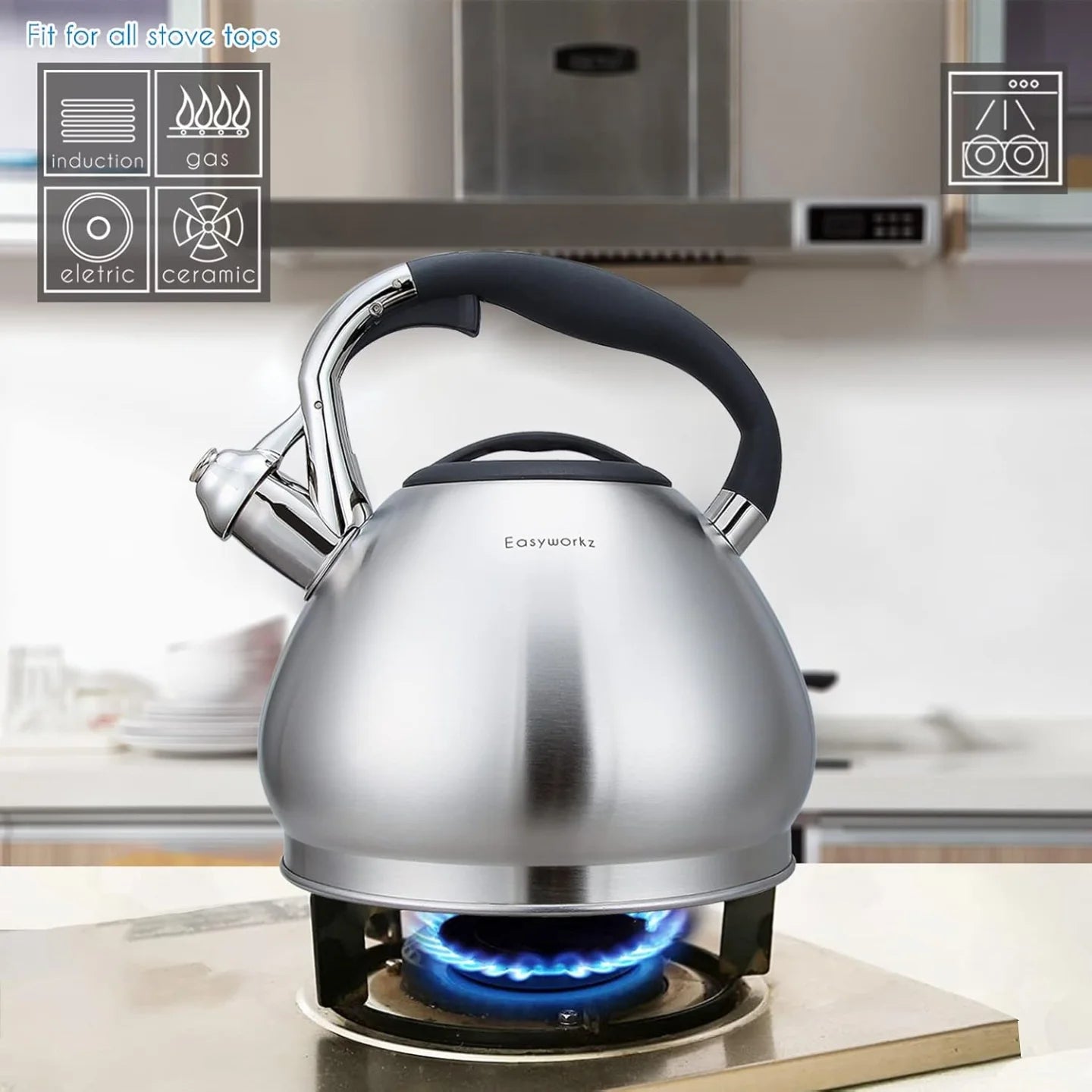 Easyworkz Whistling Tea Kettle Stainless Steel Induction Ready