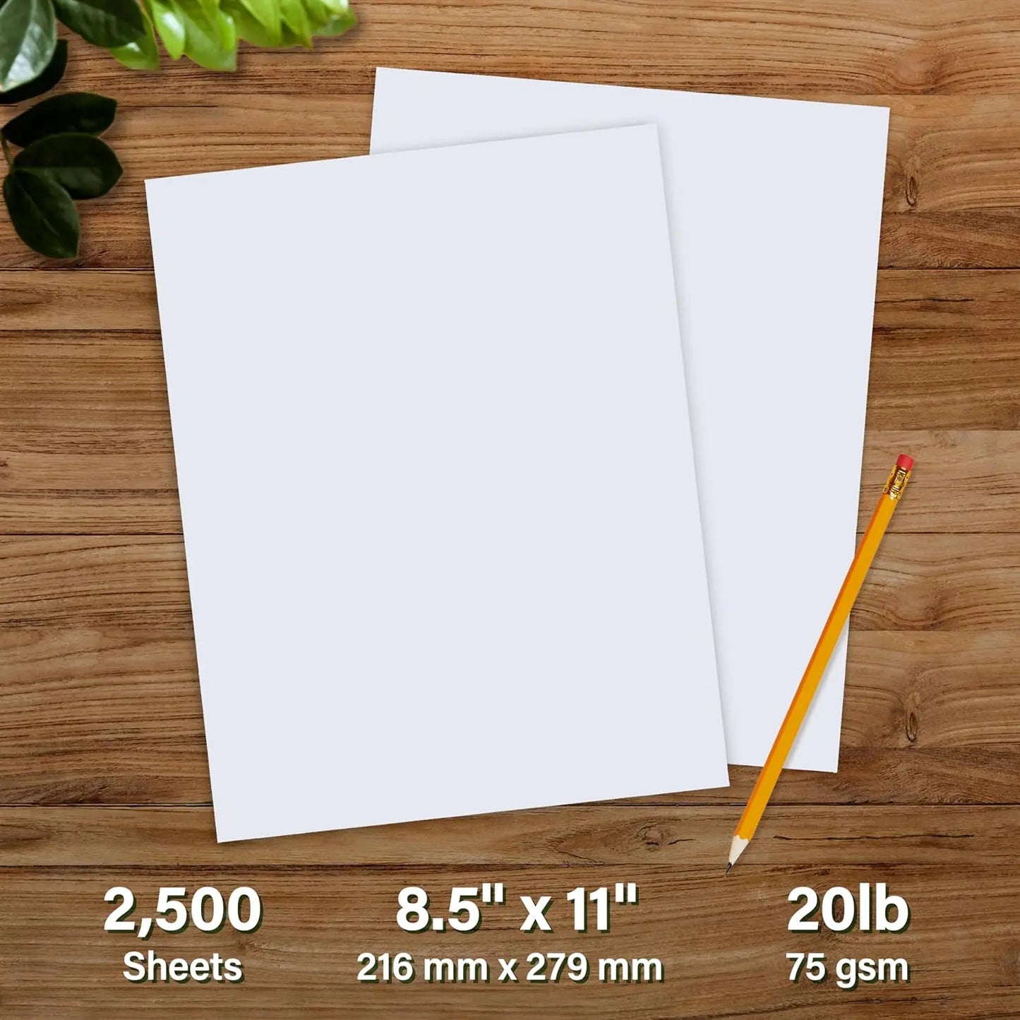 Eco-Friendly Printer Paper Made In USA From Sawmill Waste