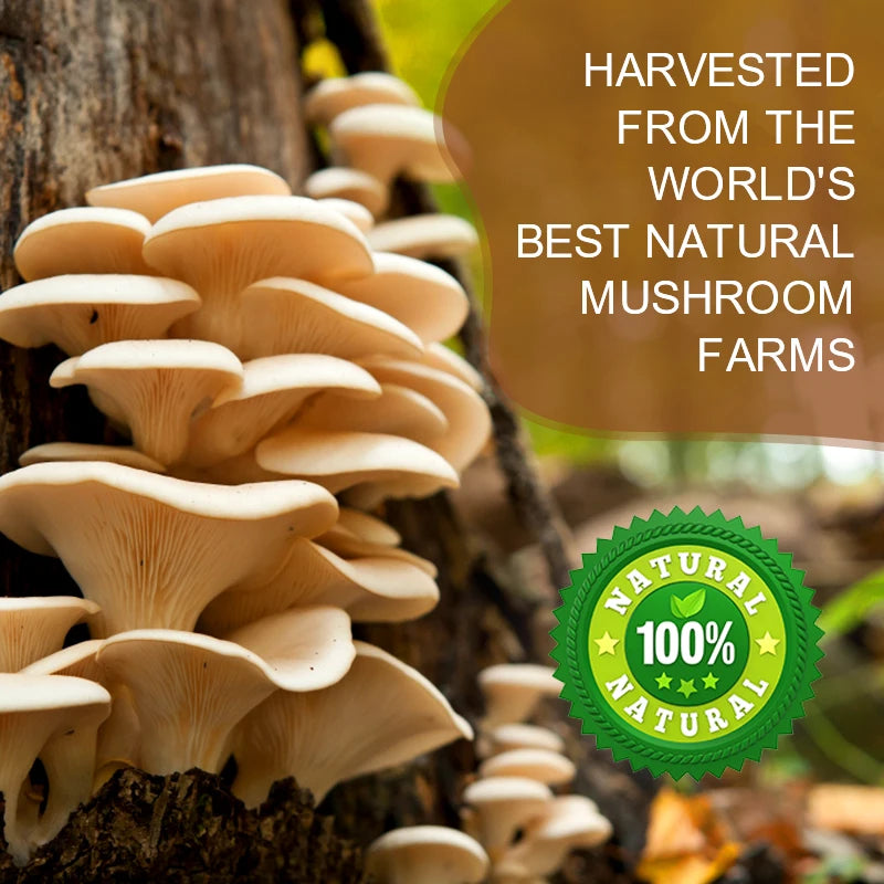 MINCH Lion's Mane Mushroom Coffee With Reishi Cordyceps Turkey Tail
