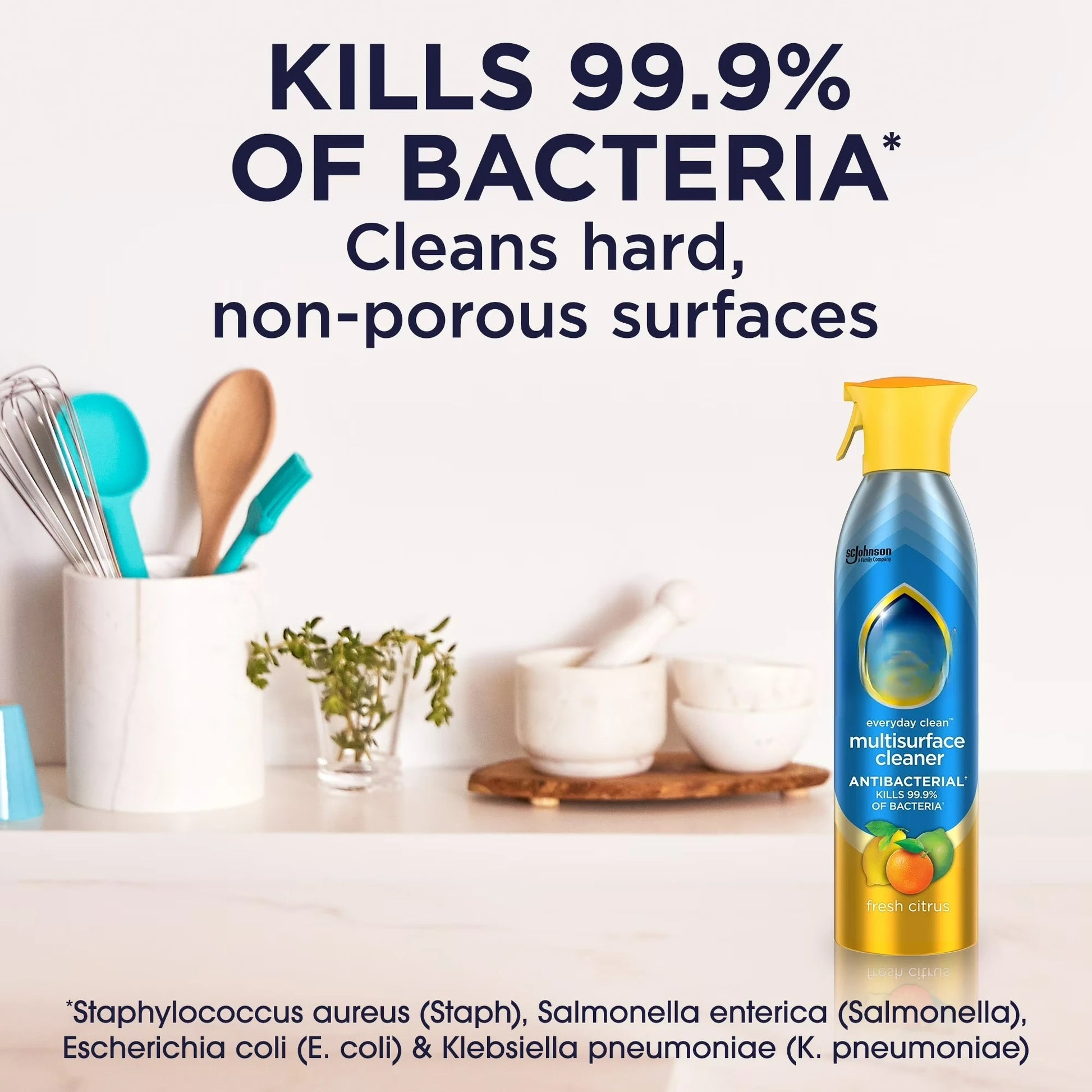 Everyday Cleaner Multi Surface Antibacterial Cleaner, Aerosol, Fresh Citrus, 9.7 oz by S And B Enterprise