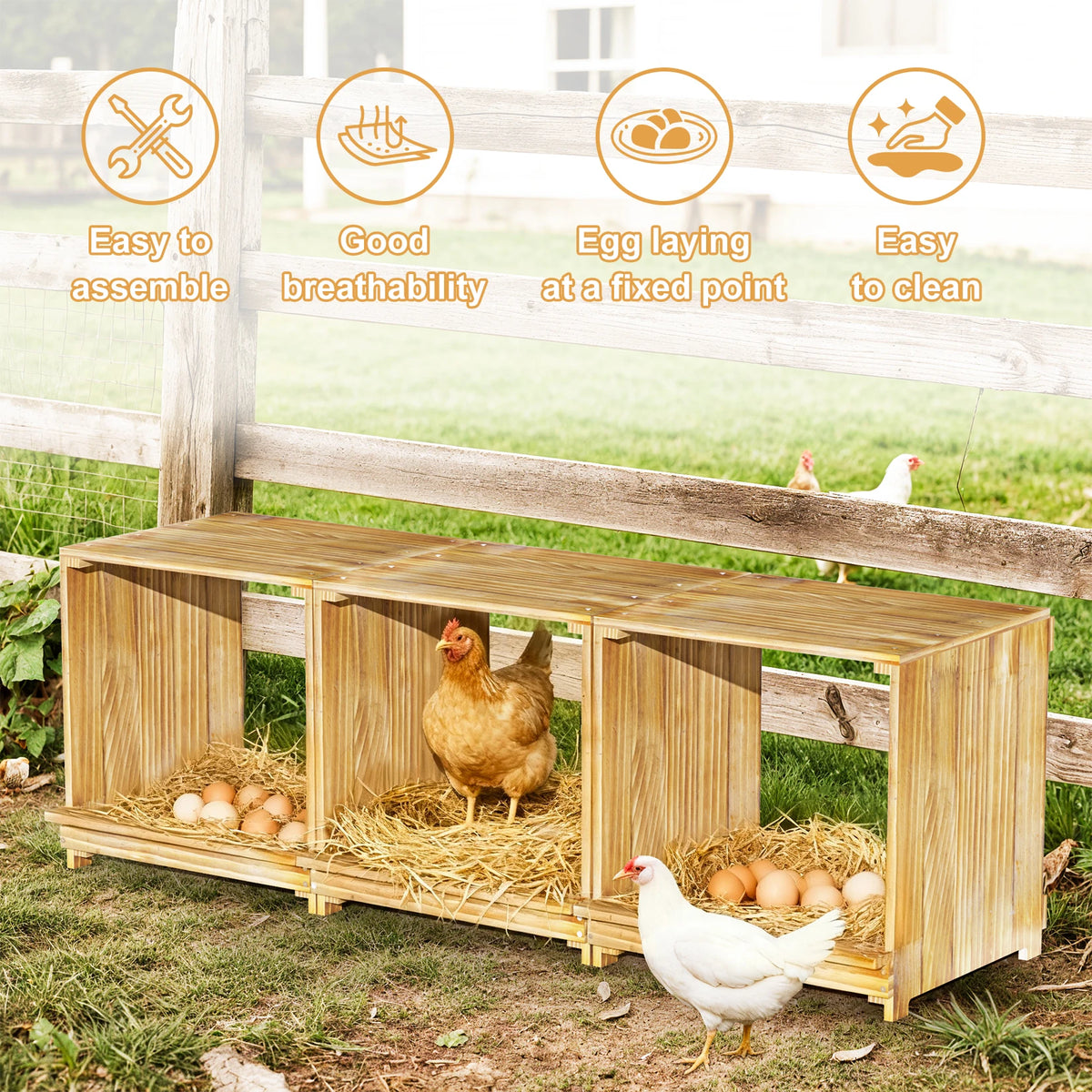 Pine wooden chicken nesting boxes, 3-compartment design for easy egg collection