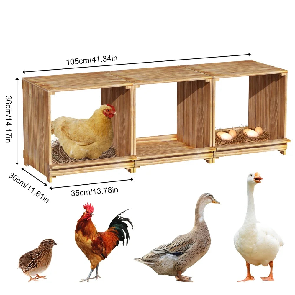 Pine wooden chicken nesting boxes, three compartments, for easy egg collection.