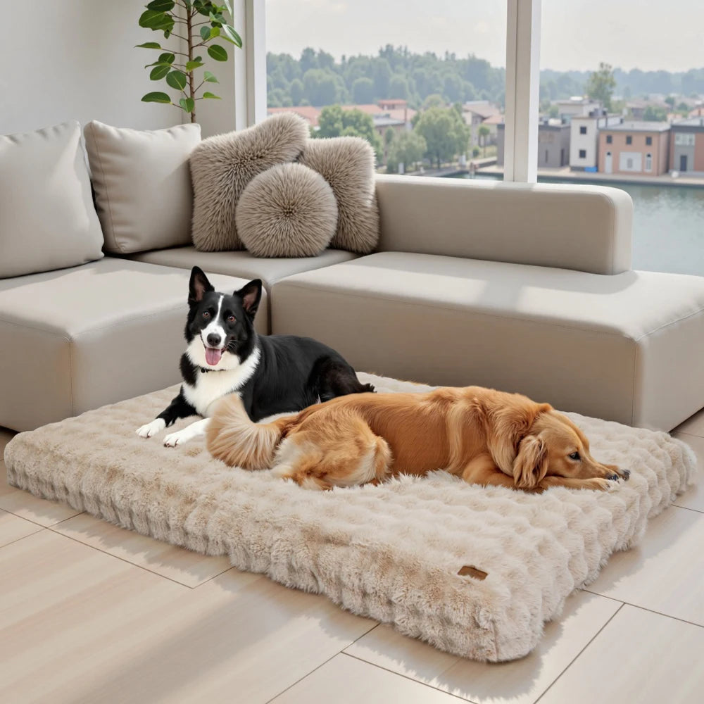 S And B Enterprise Ultra Plush Dog Bed, large cream washable pet mattress with two dogs lounging comfortably.