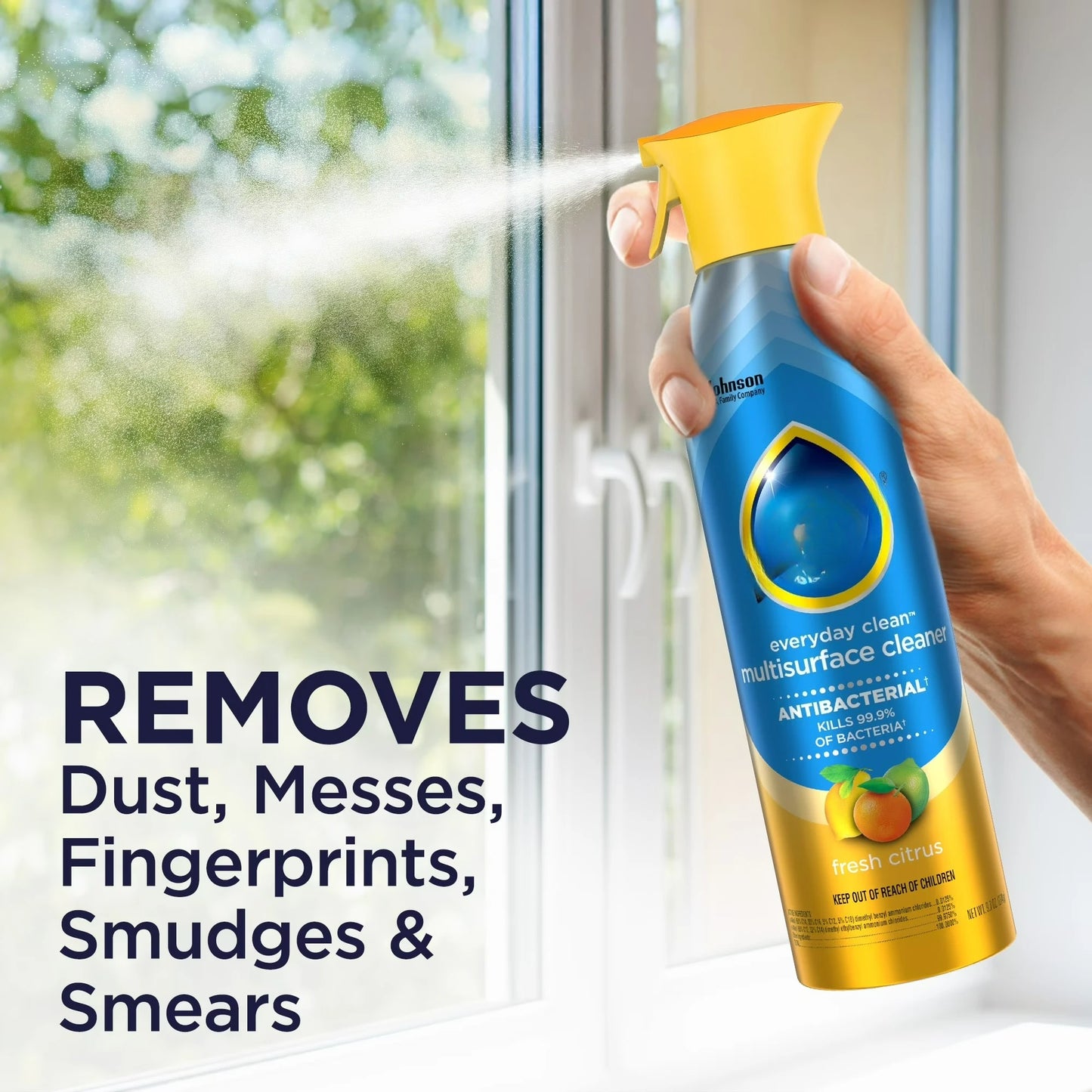 Everyday Cleaner Multi Surface Antibacterial Cleaner, Aerosol, Fresh Citrus, 9.7 oz by S And B Enterprise