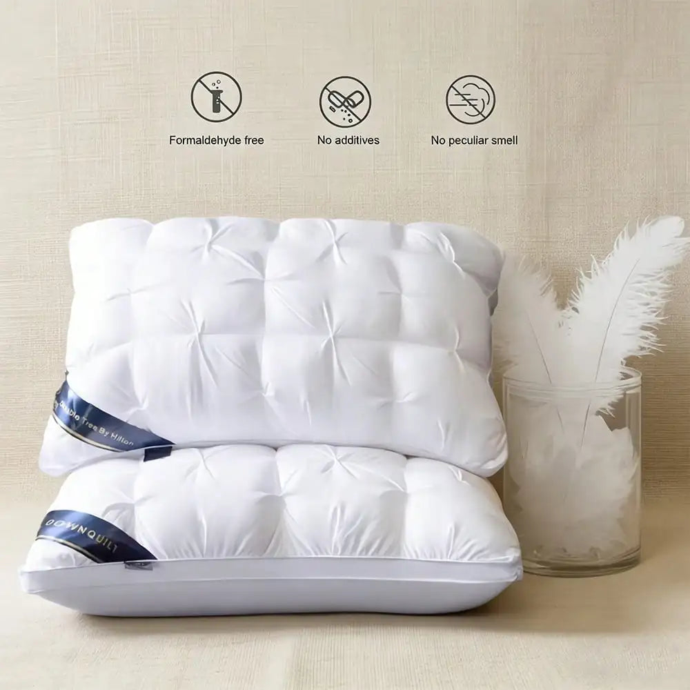 Deluxe Pillow 2-Piece Set With Down Alternative For Side Sleepers by S And B Enterprise