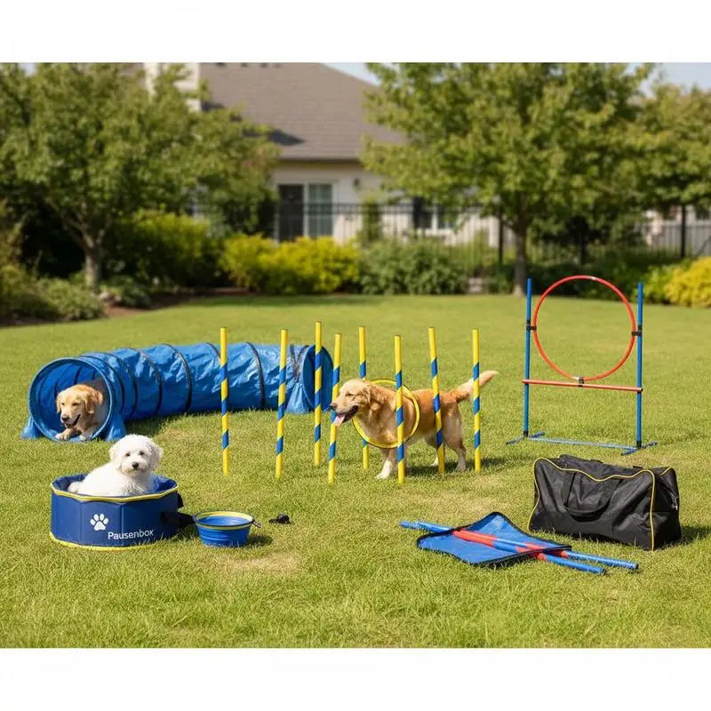 Dog agility training set on lawn; blue tunnel, 6 yellow-blue slalom poles, red hoop, rest box and bowls