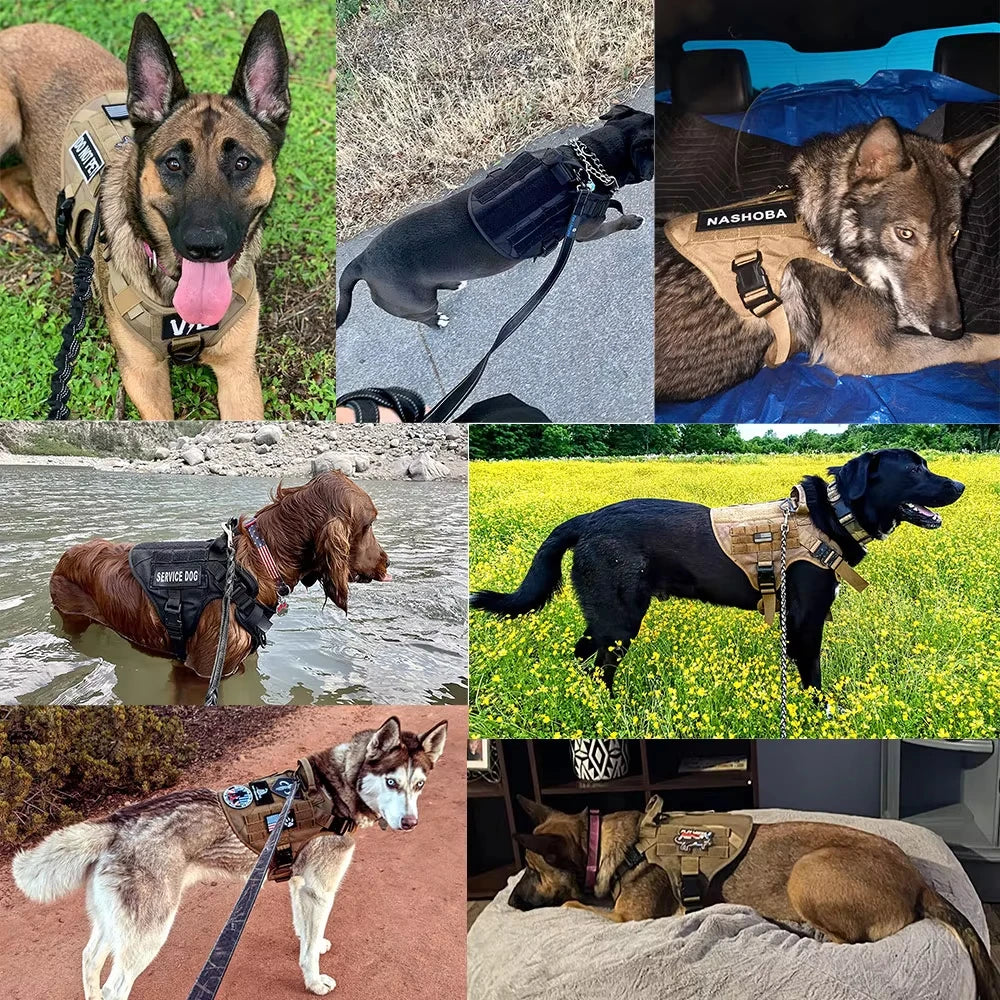 Military-style large dog harness vest set with patches for Malinois training, collage of dogs in tactical harnesses.