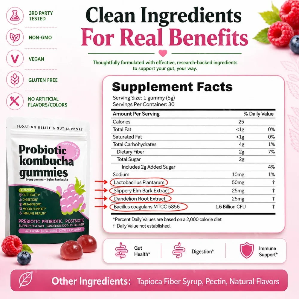 Probiotic Kombucha Gummies Every Gummy 1 Glass Kombucha Prebiotic Postbiotic Digestive Gut Health Vegan Berry Bliss 30 Gummies by S And B Enterprise