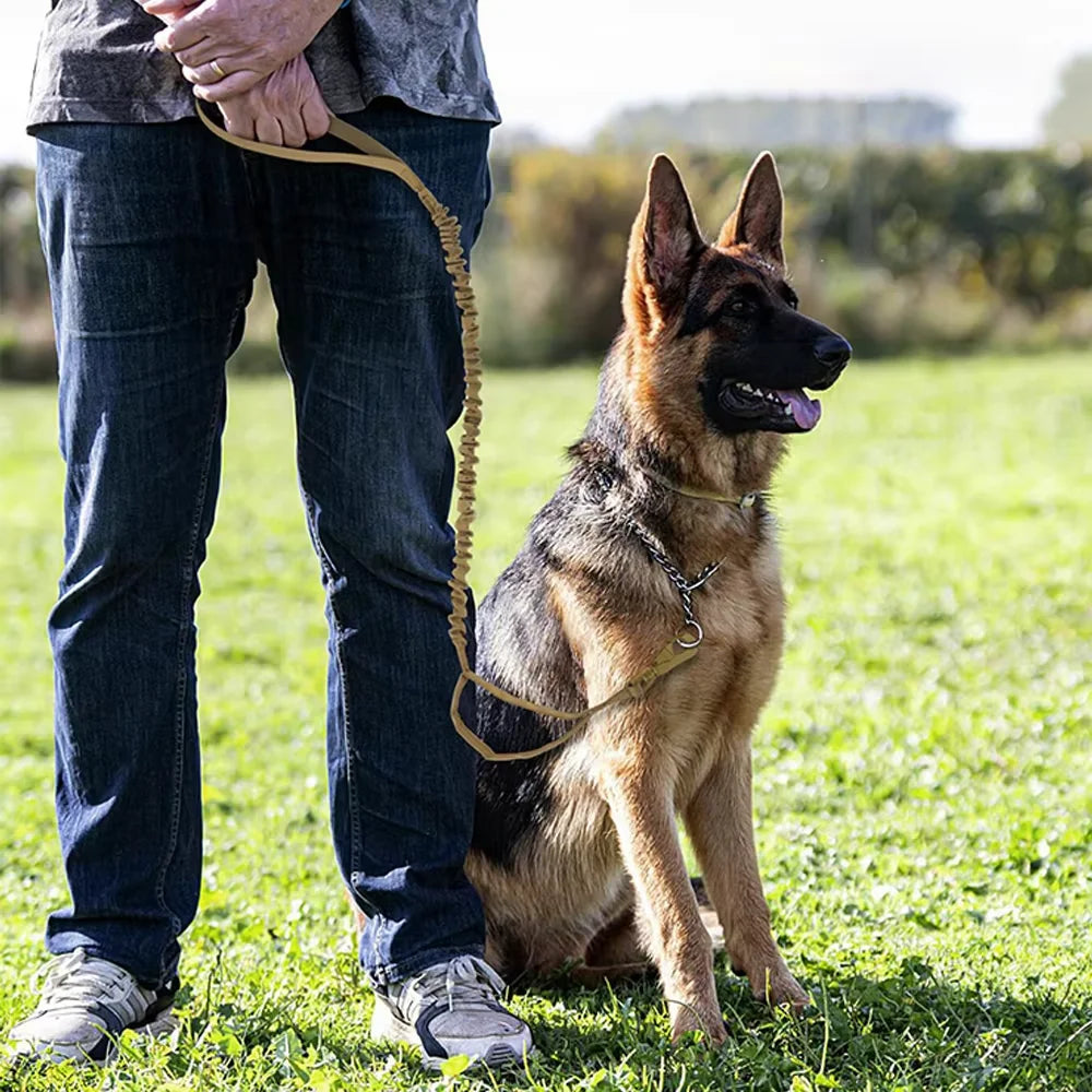 Military dog leash with elastic bungee rope and two control handles in tan