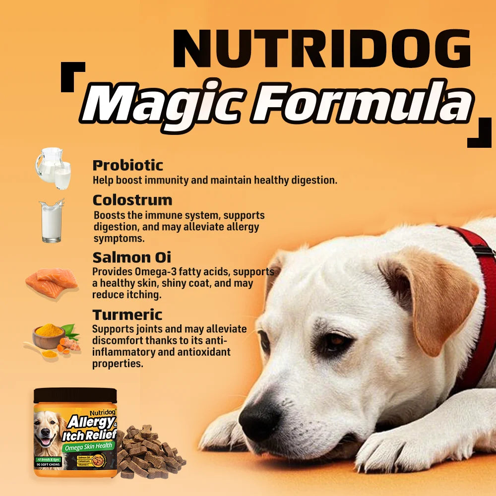 Nutridog Allergy Relief Dog Chews Omega 3 Vitamin C Support by S And B Enterprise