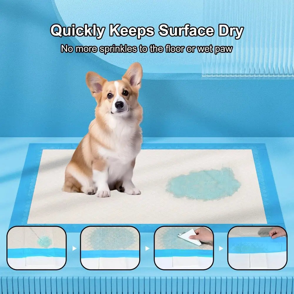 Ultra Absorbent Dog Pee Pads Leak Proof Odor Control by S And B Enterprise
