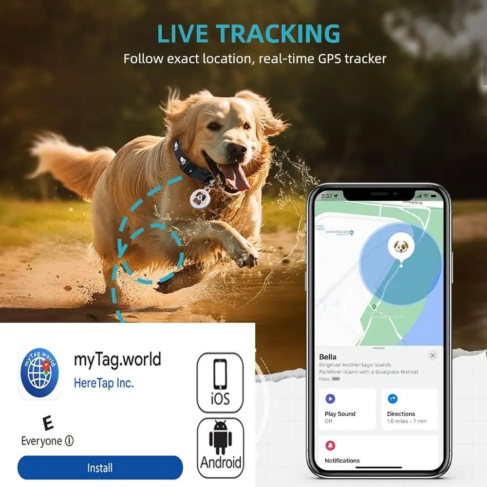 GPS Dog Tracker Collar For Android And iOS