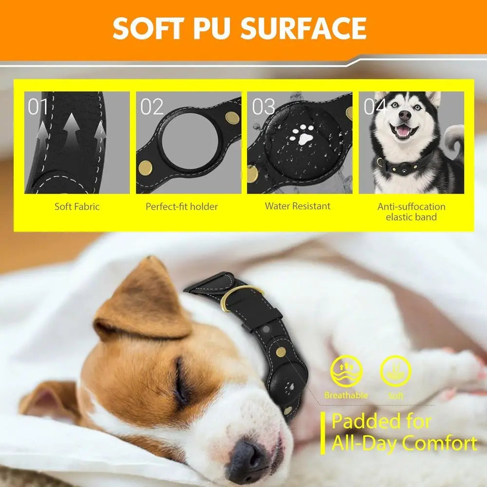 GPS Dog Tracker Collar With Real-Time Location And Free App