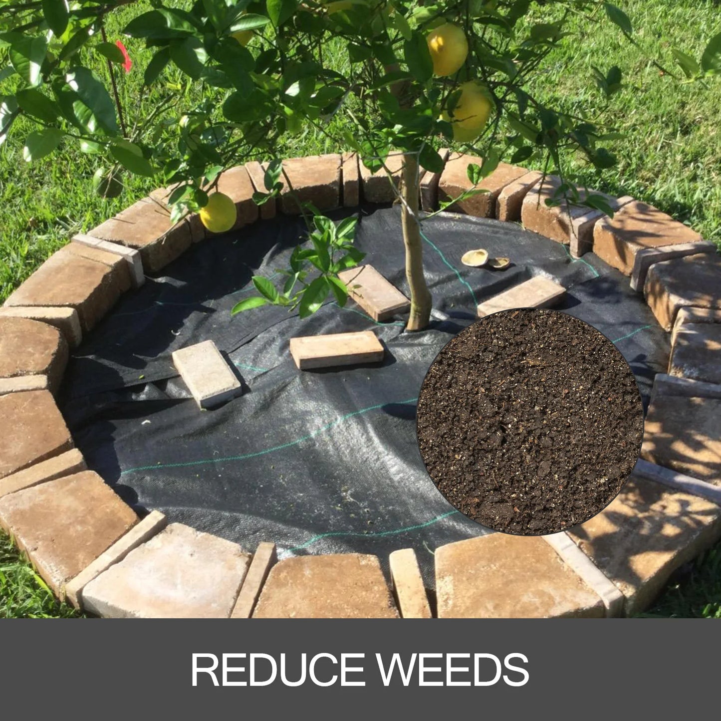 SucceBuy Landscape Fabric 1.5oz Weed Barrier Ground Cover For Gardens