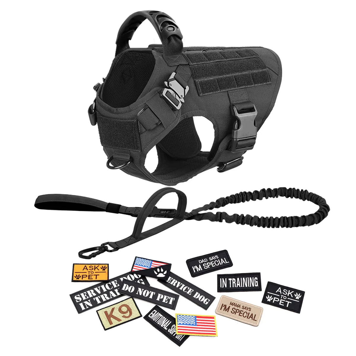 Military large dog harness by S And B Enterprise with handle, MOLLE panels, leash, and patch set