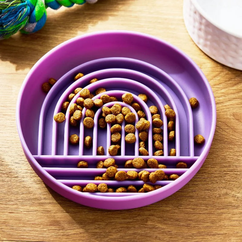 Slow Feeder Bowl for Pets by S And B Enterprise, purple rainbow bowl with layered arches