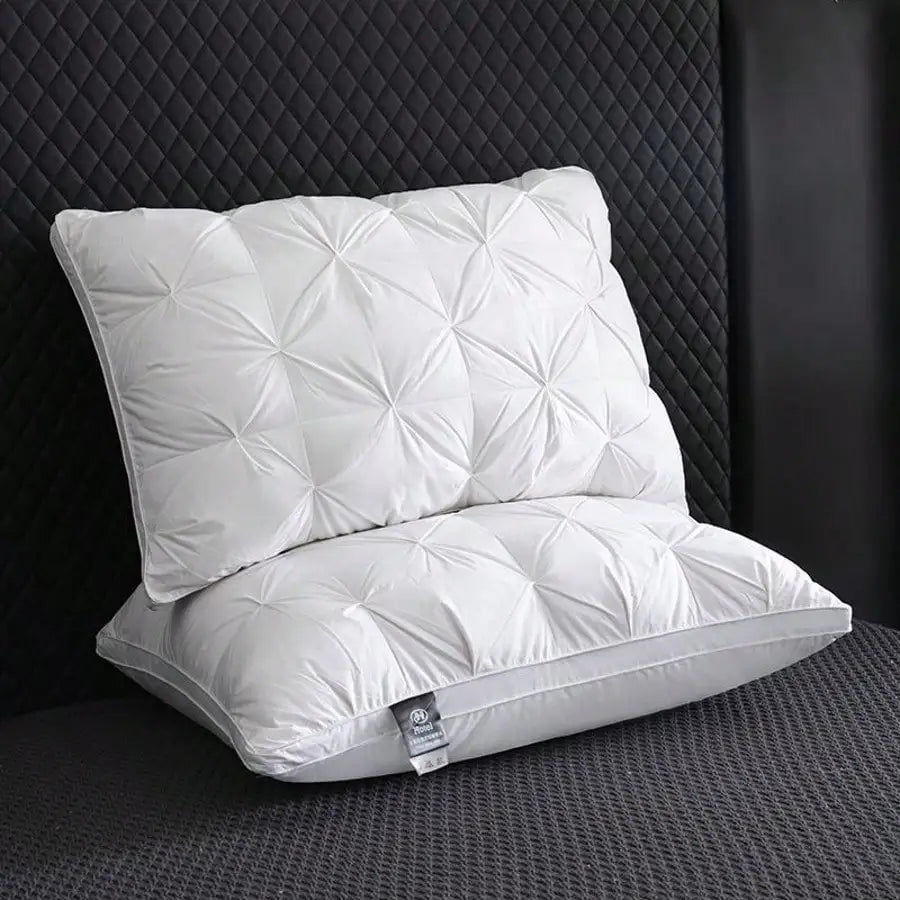 Deluxe Pillow 2-Piece Set With Down Alternative For Side Sleepers by S And B Enterprise